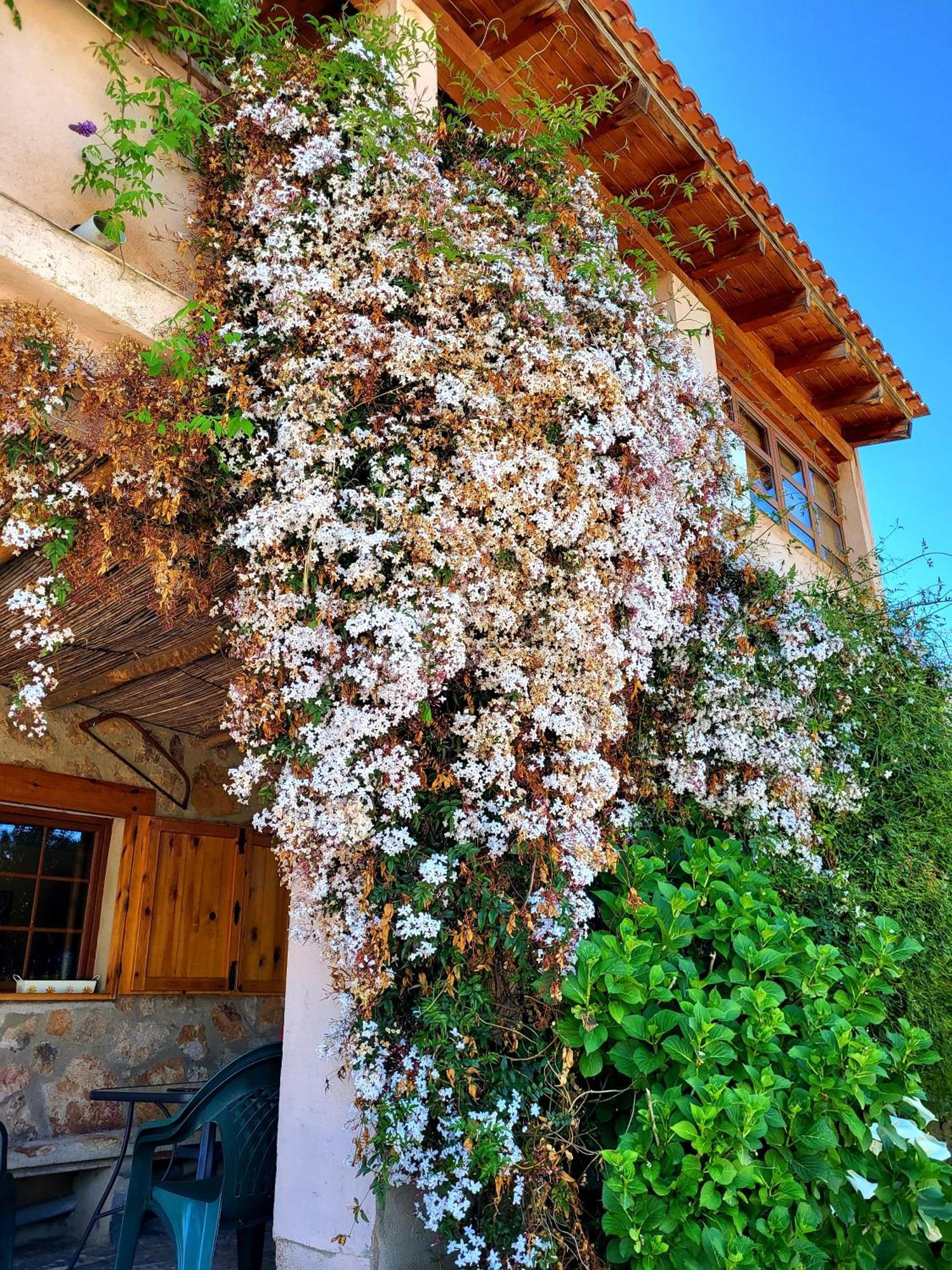 Casa Rural Balcon Del Camino Viejo วาเลนเซีย เด อัลคานทารา ภายนอก รูปภาพ