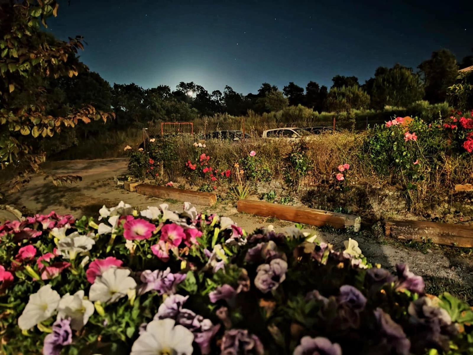 Casa Rural Balcon Del Camino Viejo วาเลนเซีย เด อัลคานทารา ภายนอก รูปภาพ